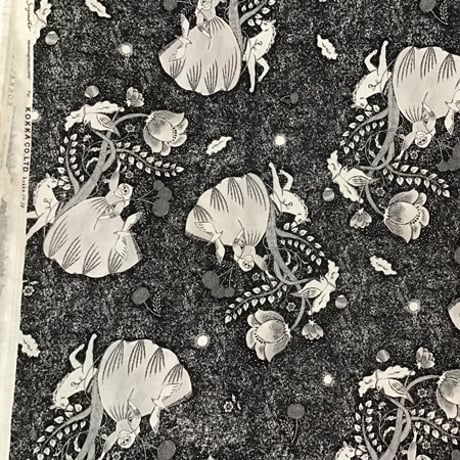 Sanae Sugimoto Midnight dream