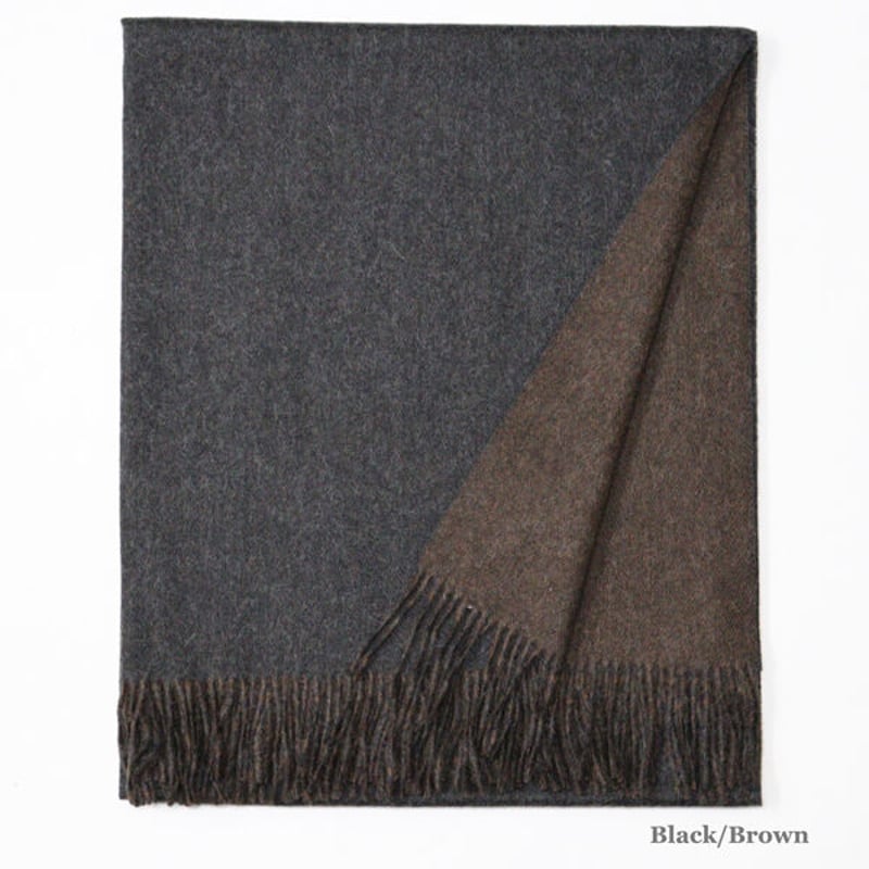 The Inoue Brothers（ザ イノウエブラザーズ）