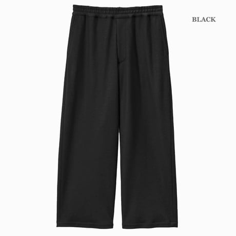 Graphpaper（グラフペーパー）"Wool Smooth Flannel Easy Wide Pants"