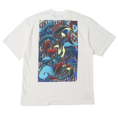 ザイノウエブラザーズ | STORES