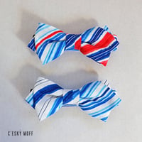 水彩画風レジメンタル蝶ネクタイ / CESKY MOFF