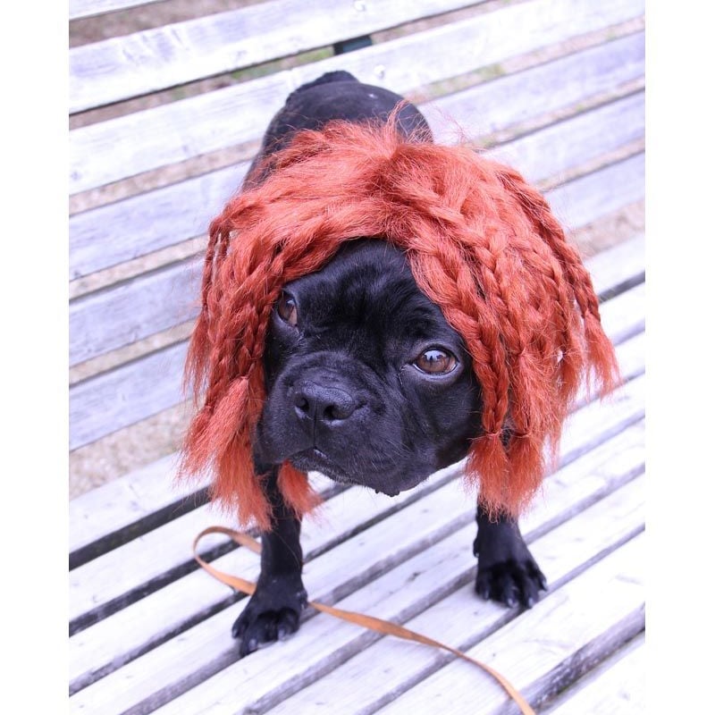 Wigs2you】ペットウィッグ/P-004/ミディアム/三つ編み/ドレッド