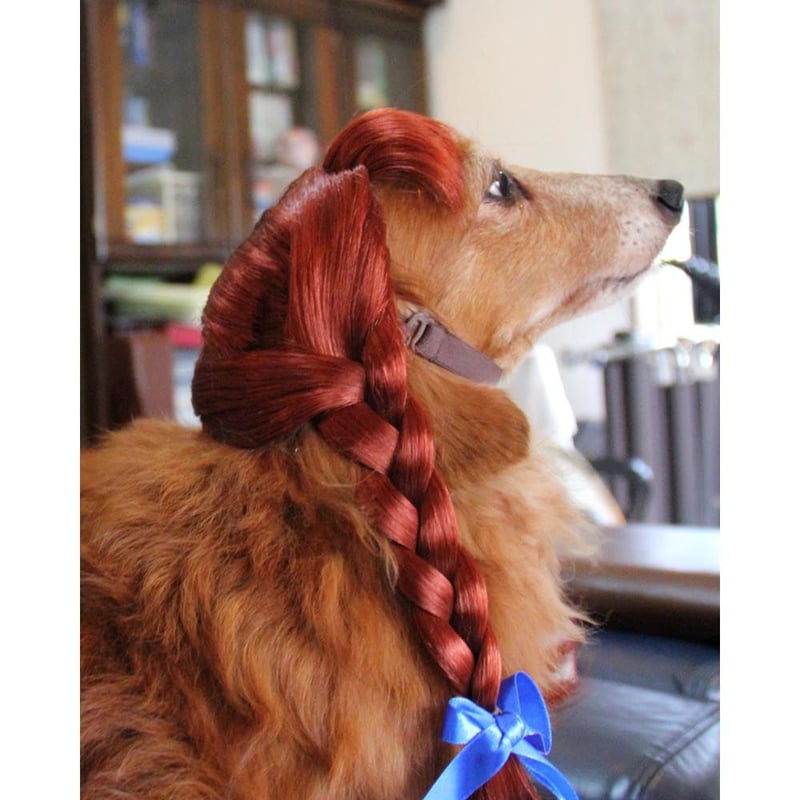 Wigs2you】ペットウィッグ/P-036/ツインテール/三つ編み Wigs2you】ペットウィッグ/P-036/ツインテール/三つ編み