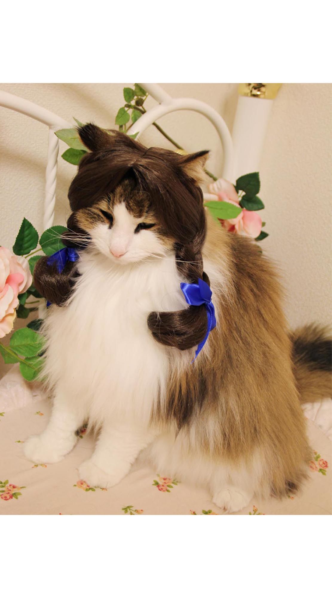アンティーク大きな瞳や長いヒゲ、まつ毛が美しく、大きなリボンも可愛い招き猫 50年代ヴィンテージ大きな瞳や長いまつ毛が美しい大きな招き猫