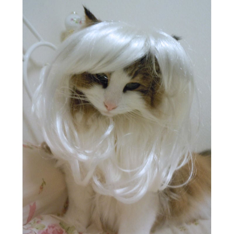 Wigs2you】ペットウィッグ/P-008/ロング/カール/巻き髪/激かわ