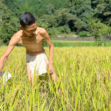新『草木染め 三角ふんどし  麻50%綿50％   骨盤安定』 Hemp