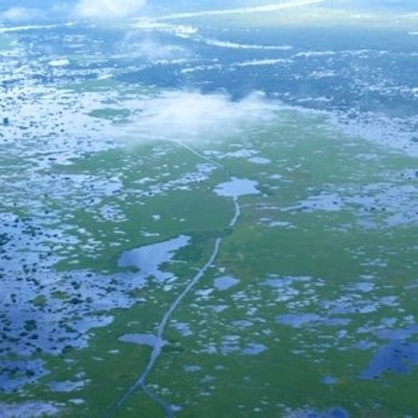 『ウッドへアゴム　水命デトックス』手彫り天然石