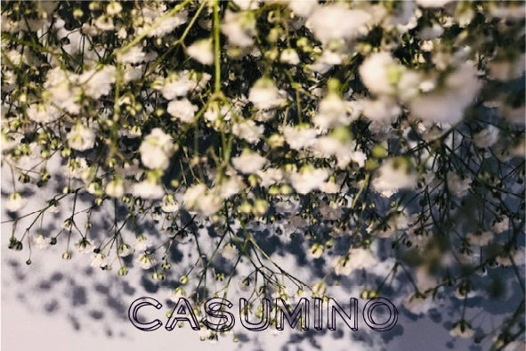 CASUMINO