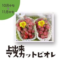 ［131］上出来マスカットビオレ２房(1.5㎏以上)