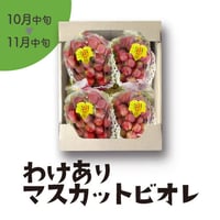 ［134］わけありマスカットビオレ２kg箱満杯詰め
