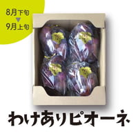 ［104］わけありニューピオーネ2kg箱満杯詰め