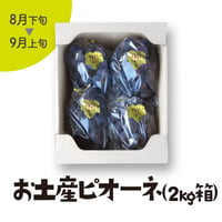 ［102］お土産ピオーネ2kg箱入（3-5房）