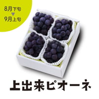 ［101］上出来ピオーネ4房（2㎏以上）