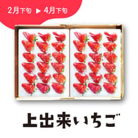 ［201］上出来いちご　さちのか（18粒）×2 ※ゆりカーゴ入り