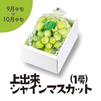 ［120］上出来シャインマスカット1房(750g以上）