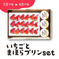 ［211］いちごとプリン詰合せ