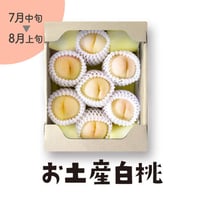 ［306］お土産白桃　1.5kg箱入（7-8玉）