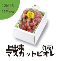 ［130］上出来マスカットビオレ １房（750g以上）