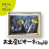 ［103］お土産ピオーネ1kg箱入（2房）