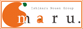 maru.webstore