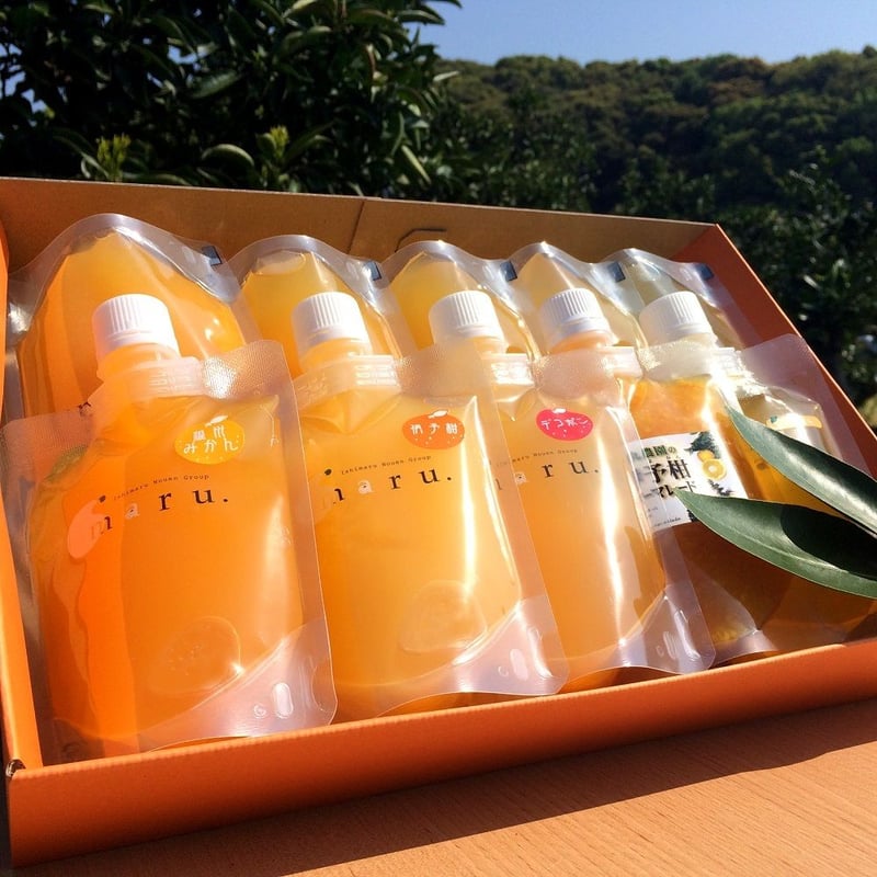 maru まるごとみかんのギフトセット | maru.webstore