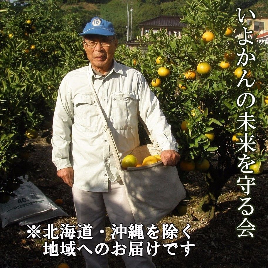 ヨモギがあなたをガンから守る Amazon.co.jp: ヨモギがあなたをガンから守る : 斎藤 隆: Japanese Books