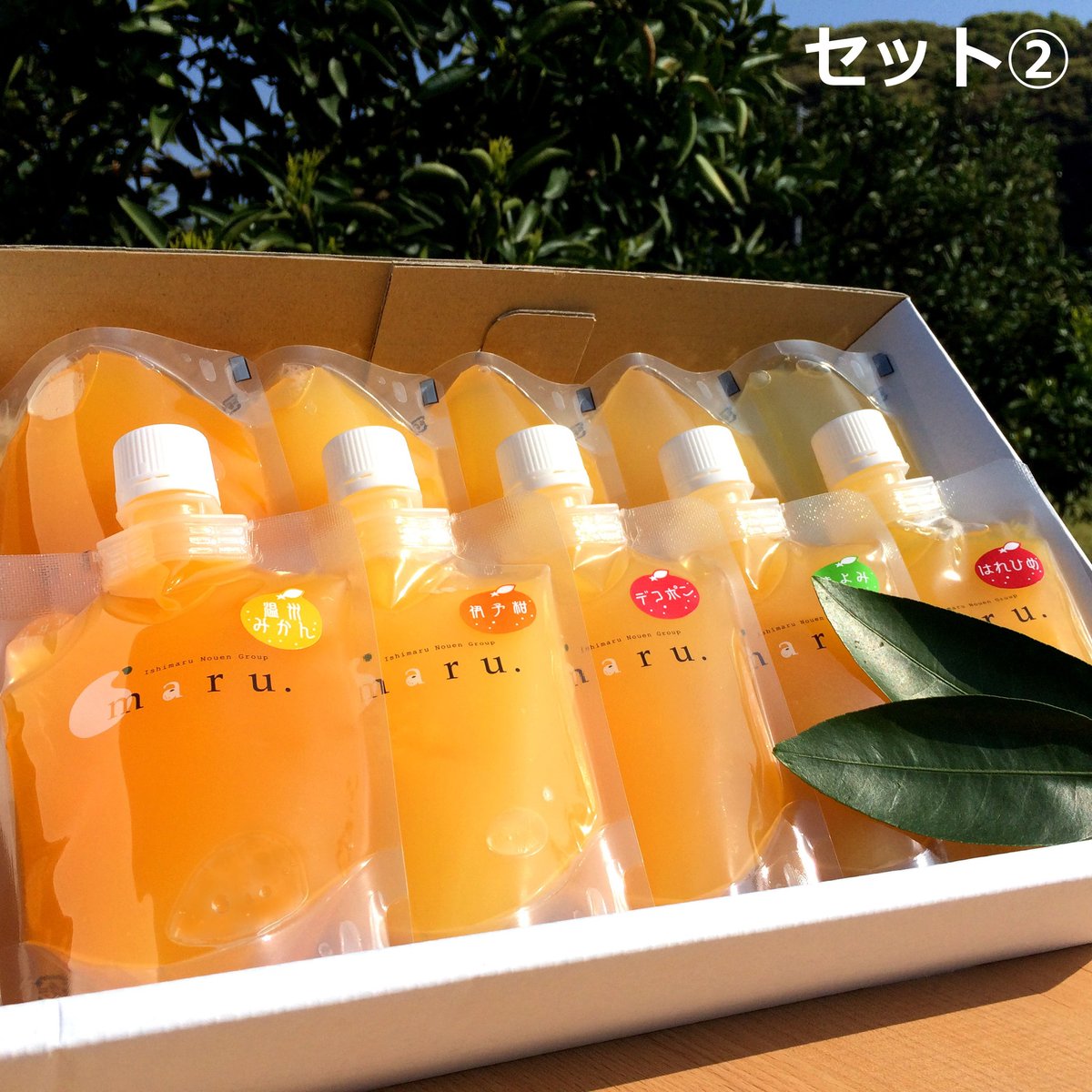 飲むみかんゼリー 10本セット | maru.webstore