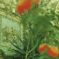 PHOTO TILE STICKER  apostasy