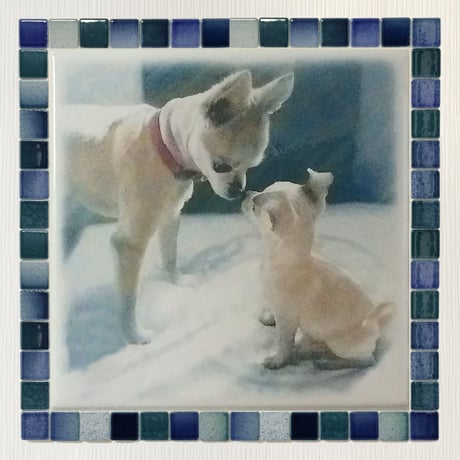 ﾌｫｷﾞｰｶﾗｰ/アクア(ＸＬ)◆Tile Portrait(XL)/Foggy Tone/AQUA◆