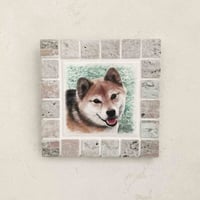 ｱﾝﾃｨｰｸｶﾗｰ/コーラル(Ｍ)◆Tile Portrait(M)/Antique Tone/CORAL◆