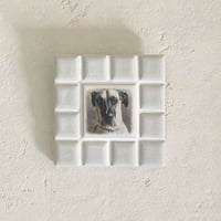 ﾌﾞﾗｲﾄｶﾗｰ/オフホワイト(Ｓ)◆Tile Portrait(S)/Bright Tone/OFF-WHITE◆