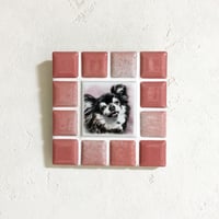 ﾌﾞﾗｲﾄｶﾗｰ/フレンチローズ(Ｓ)◆Tile Portrait(S)/Bright Tone/FRENCH ROSE◆