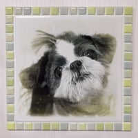 ﾌﾞﾗｲﾄｶﾗｰ/ライムイエロー(ＸＬ)◆Tile Portrait(XL)/Bright Tone/LIME YELLOW◆
