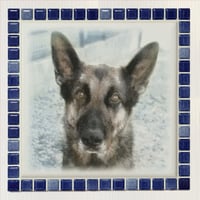 ﾌﾞﾗｲﾄｶﾗｰ/インディゴブルー(ＸＬ)◆Tile Portrait(XL)/Bright Tone/INDIGO  BLUE◆
