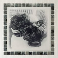 ｱﾝﾃｨｰｸｶﾗｰ/マーブルグレイ(ＸＬ)◆Tile Portlait(XL)/Antique Tone/MARBLE GRAY◆