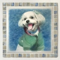 ｱﾝﾃｨｰｸｶﾗｰ/オパール(ＸＬ)◆Tile Portrait(XL)/Antique Tone/OPAL◆