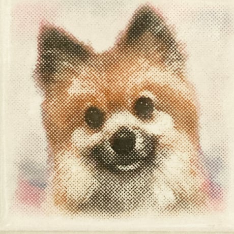 ﾌｫｷﾞｰｶﾗｰ/サンセットブルー(Ｓ)◆Tile Portrait(S)/Foggy Tone/SUNSET BLUE◆