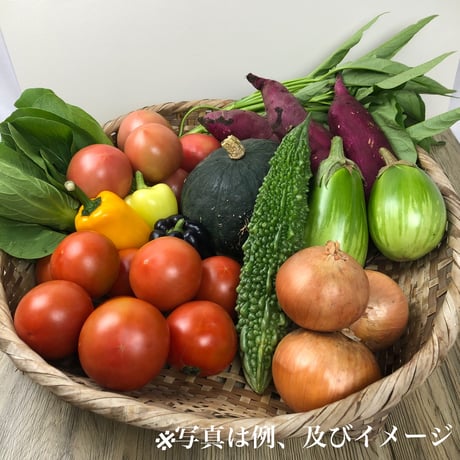 富士山麓畑の野菜セット（基本クール送料¥1260込）