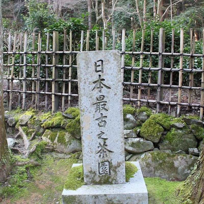 プレミアム手摘み玉露認定※極茶玉露 45g袋入り | 丸利 吉田銘茶園