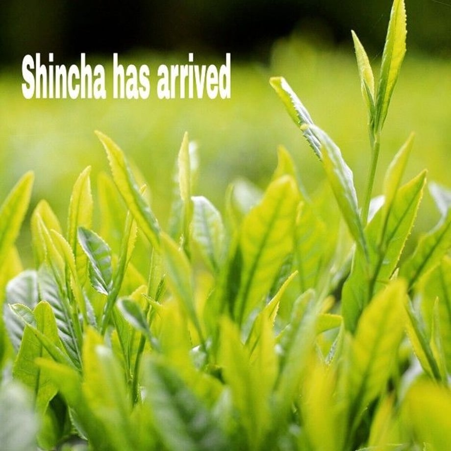 533a65ef8a561008df00004f
