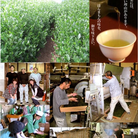 宇治玉露だんご茶100g袋入り　№D-1