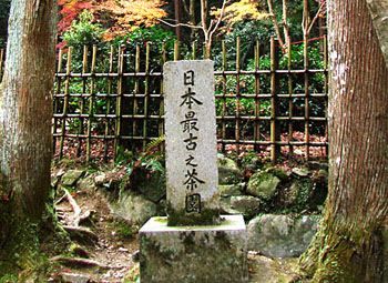 プレミアム手摘み玉露認定※極茶 玉露120g缶箱入り ※送料無料※ | 丸利