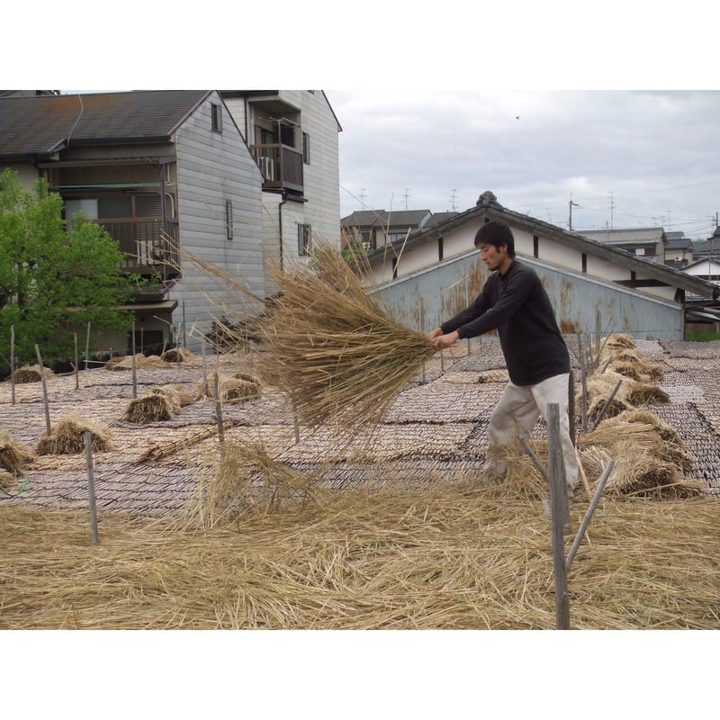 本ず玉露20g袋入り | 丸利 吉田銘茶園
