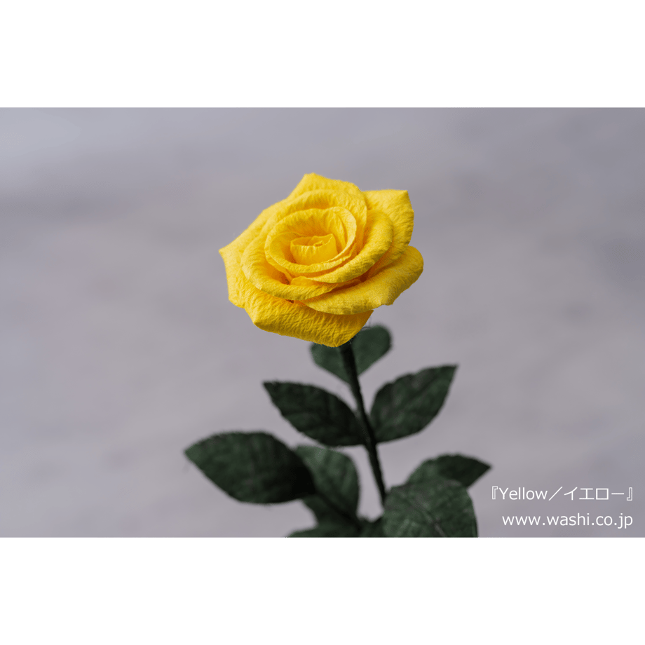 5a9e03dba6e6ee3176000415