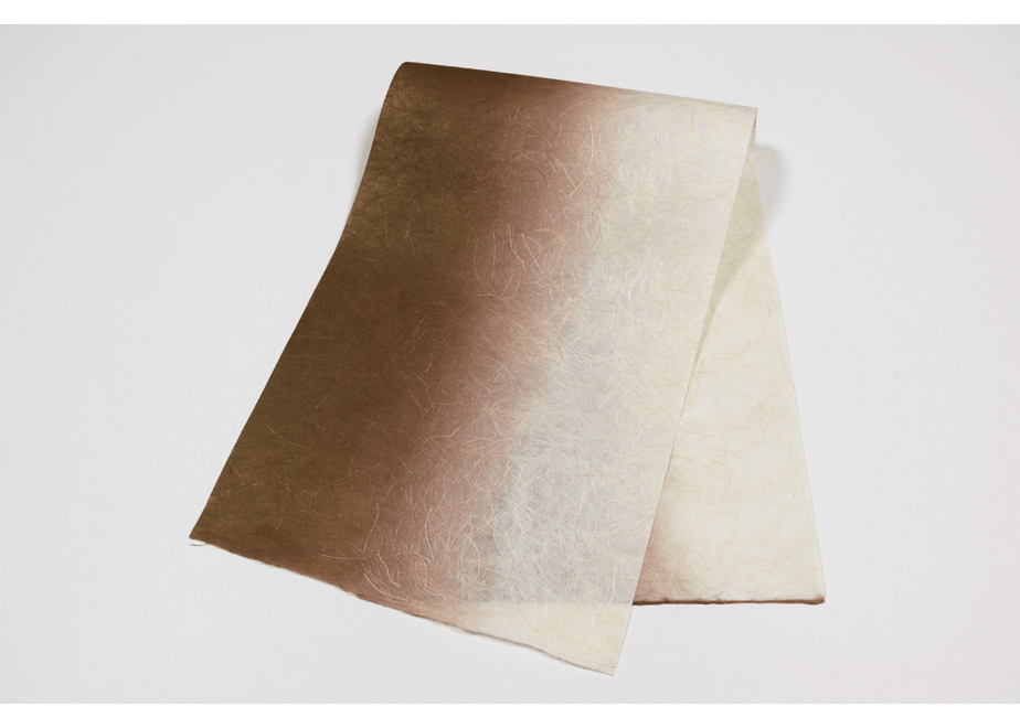 65cdcf5f0decc701fd802249