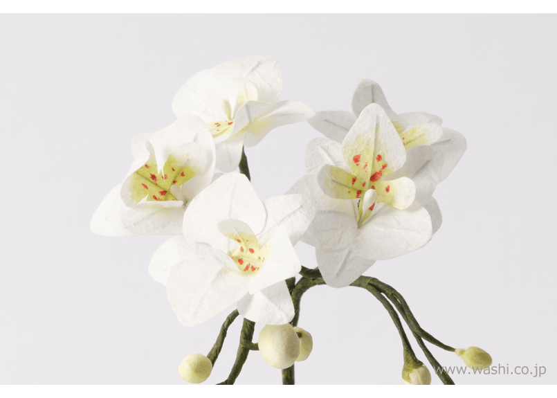即日発送可】和紙の仏花 お供え花／ミニ胡蝶蘭 花器付き 全3色 | Washi
