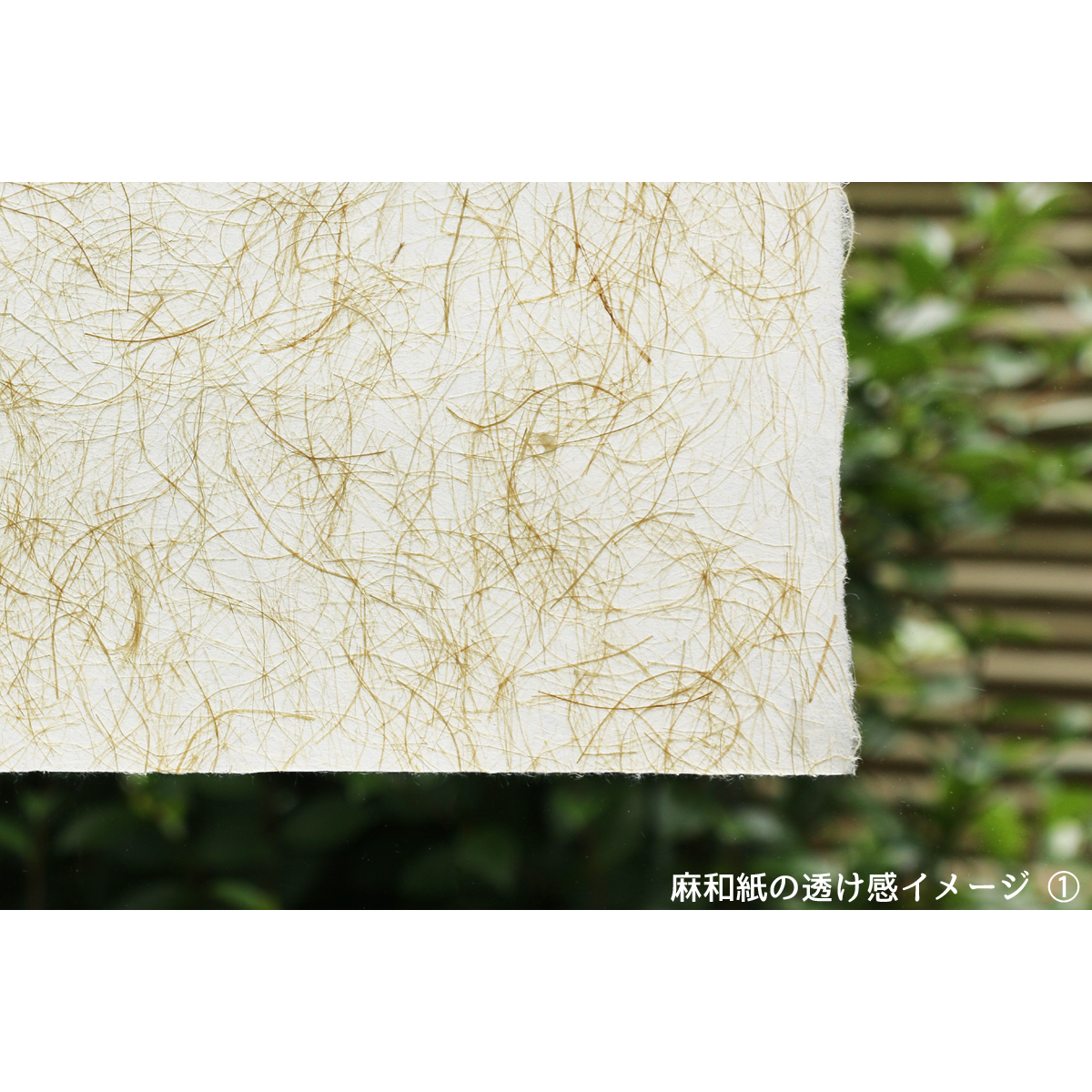 創作デザイン和紙・墨書（商品番号：as-235011) | Washi あさくら