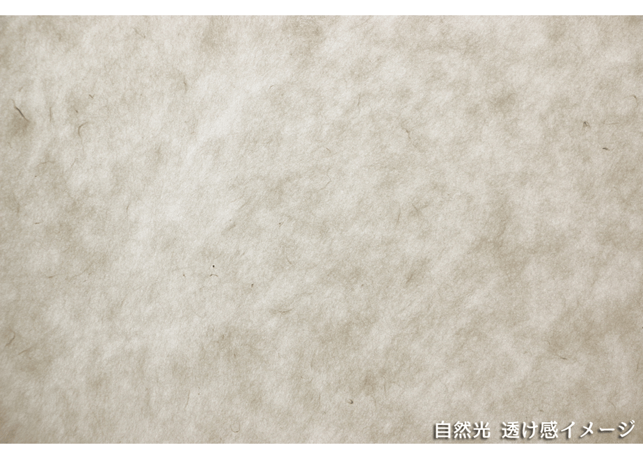 60a8ab947c42ee5fcd3912f5