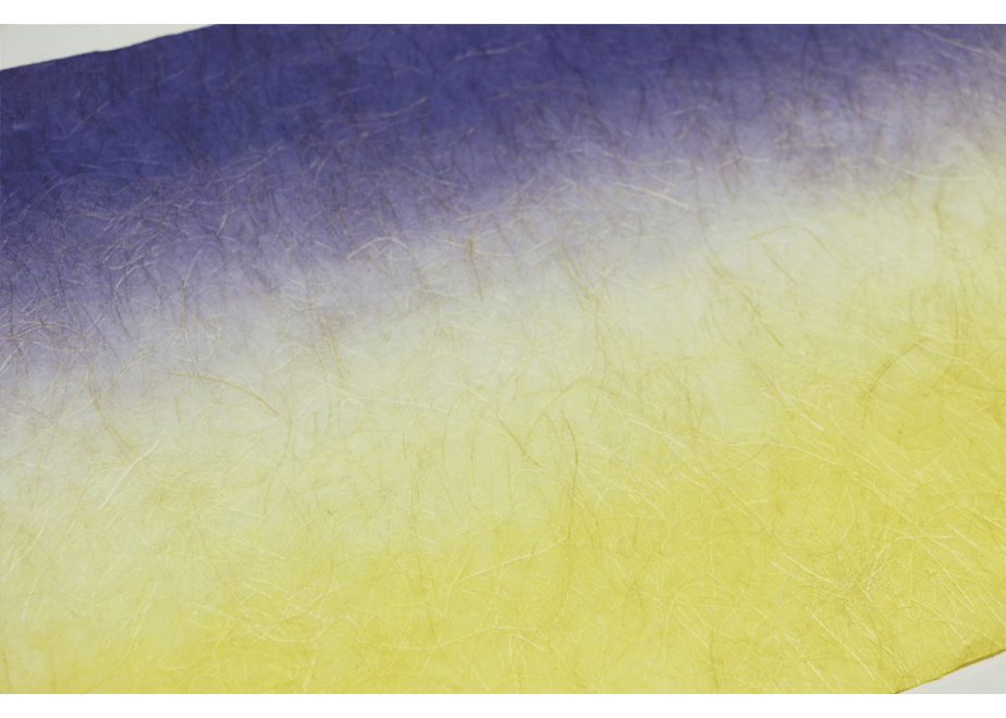 579085f341f8e8c4460001c5