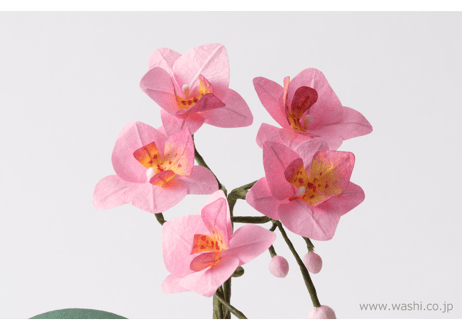 【即日発送可】和紙の仏花 お供え花／ミニ胡蝶蘭 花器付き 全3色